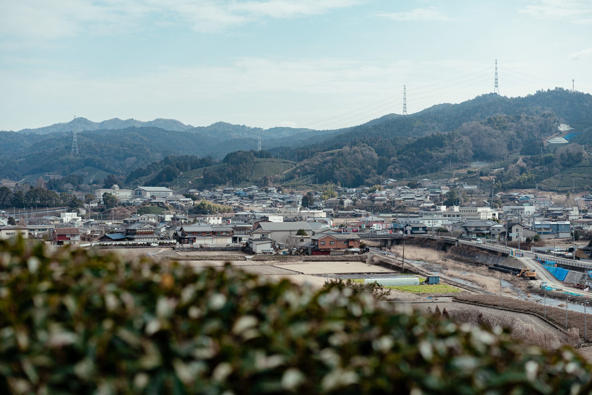産地のお茶を産地で