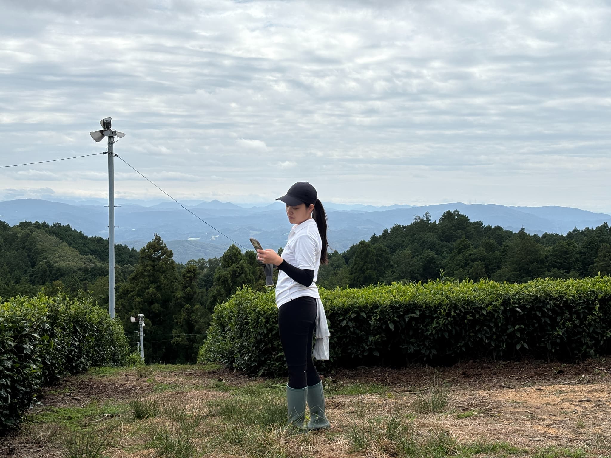 改めて気づいた日本の良さ